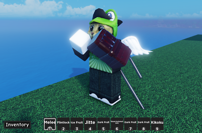 AOPG  A One Piece Game Roblox Extreme End Game Account! NEW UPDATE*, Video  Gaming, Video Games, Others on Carousell