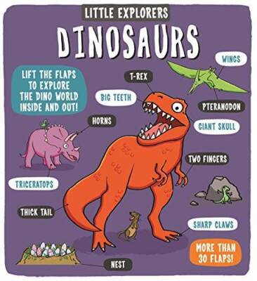 Little Explorers Dinosaurs - Board book By Templar Publishing - GOOD