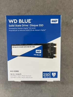 Brand New Western Digital WD Blue 250GB M.2 2280 3D NAND SSD WDS250G2B0B-00YS70