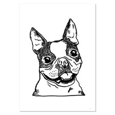 'French Bulldog Face ' Wall Posters / Prints (PP049479)