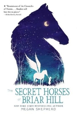Megan Shepherd The Secret Horses of Briar Hill (Taschenbuch)