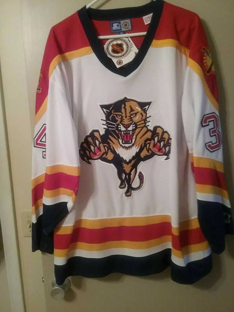 vanbiesbrouck panthers jersey