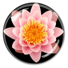 Lotus Paperweight Crystal Japan Paperweights
