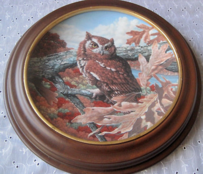 Wandteller '' The Eastern Screech Owl . Ost Kreisch Eule Porzellan Holzrahmen