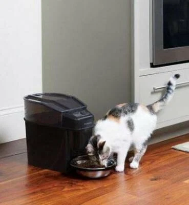 Petsafe Cat Or Dog Automatic Feeder For Kibble 47 Dry Food Pet Products Gumtree Australia Hawkesbury Area Windsor 1255774410