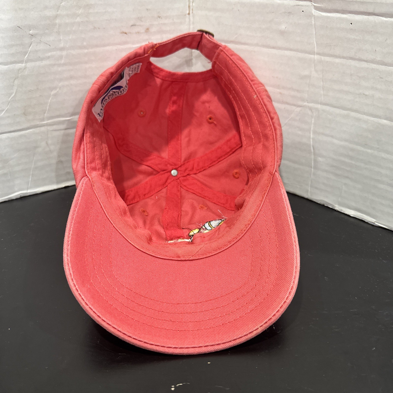 Cessna Single Engine Tail Dragger Banner Towing “… - image 6