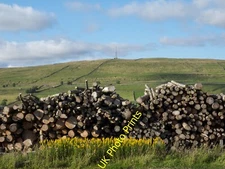 Photo 12x8 Timber stack on north side of A689 Blagill The A689 at this loc c2015
