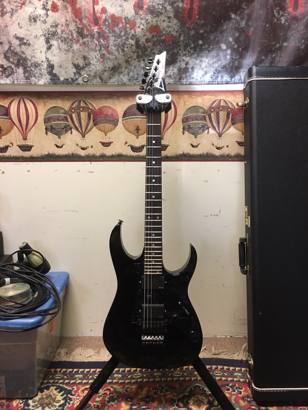 ibanez rg case