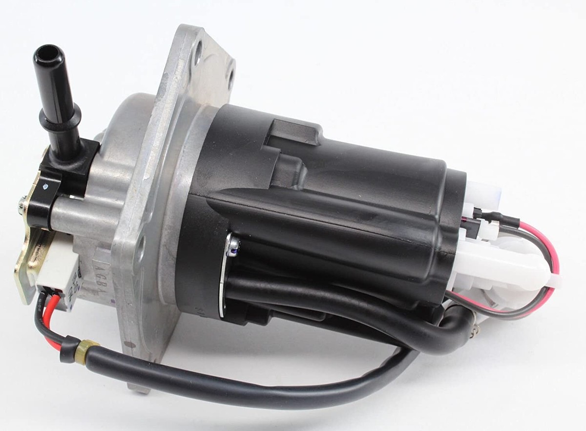 ぴぱ s-l1200.jpg