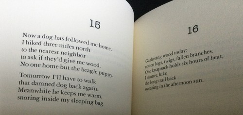 Yellow Dog Journal: Poems by Judith Minty (Parallax Press) - 1991 Trade PB - NEW - Picture 5 of 6