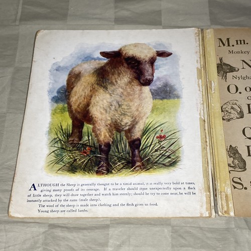 Rare 1912 1st Edition Our Four Footed Friends Farm Animals Linen No. 800 - Picture 8 of 8