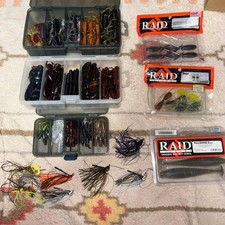 RAID JAPAN worm and jig set