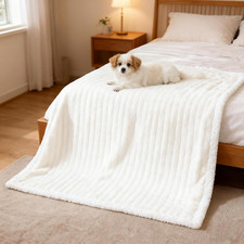 Waterproof Dog Blanket Soft Pet Cat Blanket 35x25 in Cream