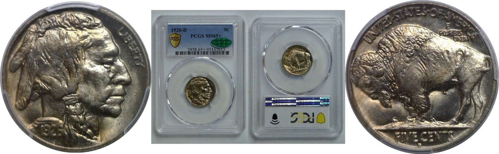 1926-D Buffalo Nickel   PCGS MS-65+  CAC
