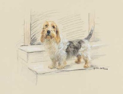 Petit Basset Griffon Vendeen Limited Edition Art Print UK Artist Gill Evans #15