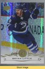 2018-19 Upper Deck Speckled Rainbow Foil Bryan Little #448 READ 07gn