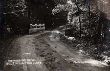 Woodland Drive Blue Mountain Lake NY Henry Beach RPPC Photo Postcard COPY