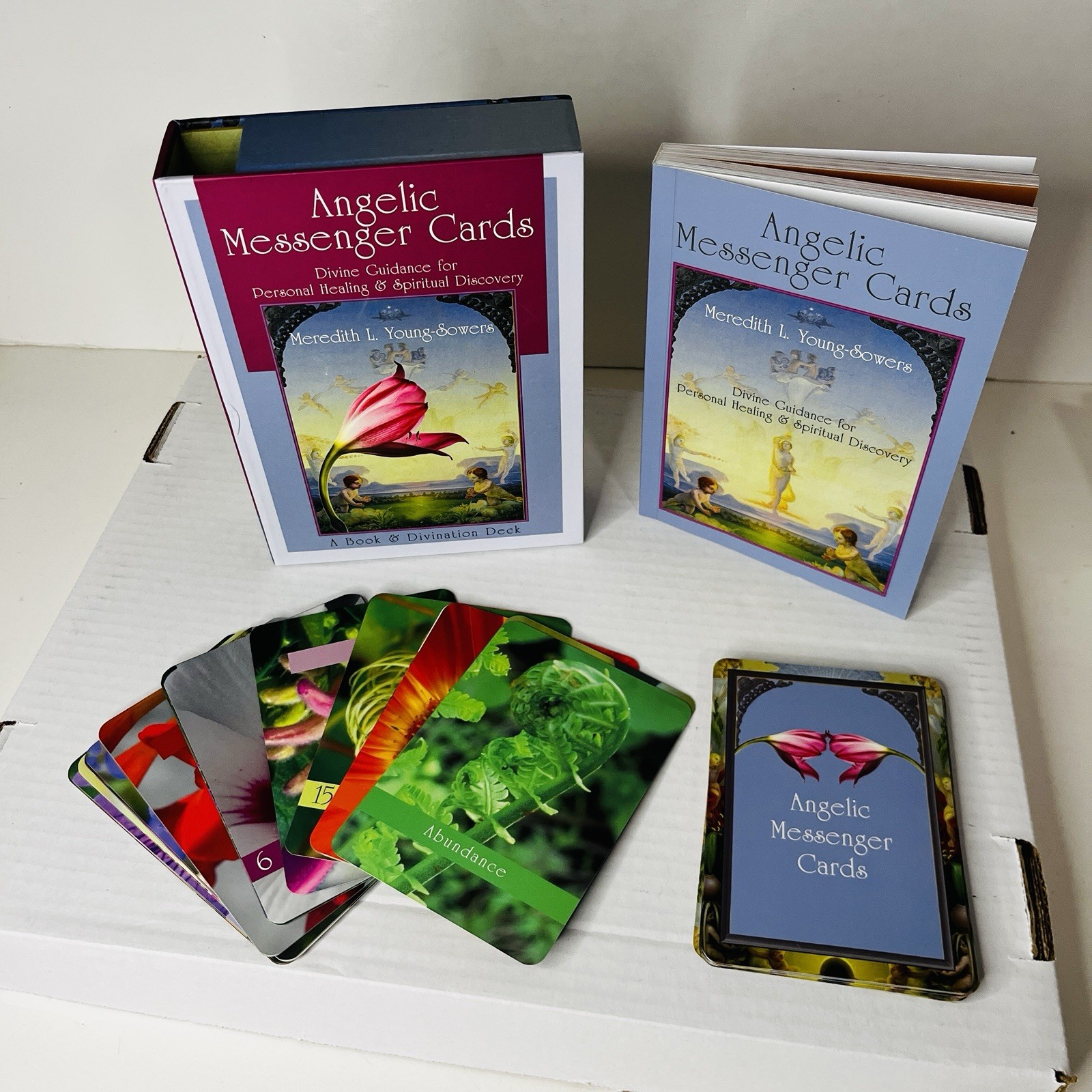 Angelic Messenger Cards Book & Divination Deck Meredith Youn