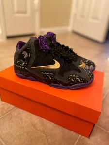 lebron 11 6.5