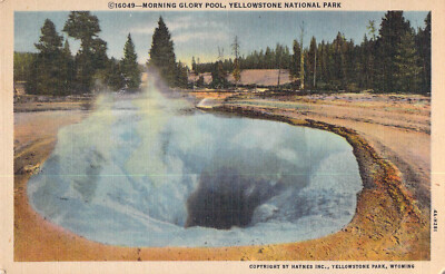 Morning Glory Pool Yellowstone Wyoming  1934 Curt Teich Haynes Vintage Postcard