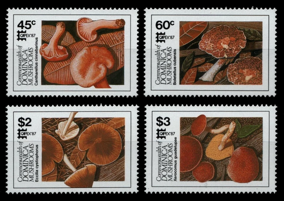 Dominica 1987 - Mi-Nr. 1036-1039 ** - MNH - Pilze / Mushrooms - Bild 1 von 1