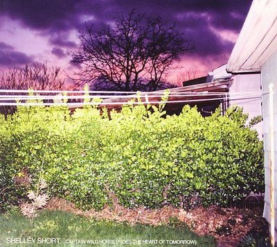 SHORT,SHELLEY,Captain Wild Horse Rides the H eart of Tomorrow, - (Compact Disc)