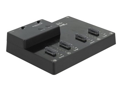 Delock Docking Station M.2 for 4 x M.2 NVMe PCIe SSD with 64124 Function