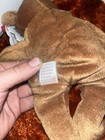 Ty Beanie Babies Teddy Brown Bear Beanbag Plush Vintage 1993 — photo 5