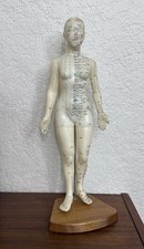 Acupuncture Model 18 Inches Human Acupoint Si...