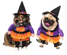 Halloween Dog Cat Pet WITCH Costume XS 10.5" ex Chihuahua, Mini Poodle 