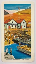 Hudson's Bay Post No 9 The Arctic Brooke Bond Red Rose Tea Card HH847