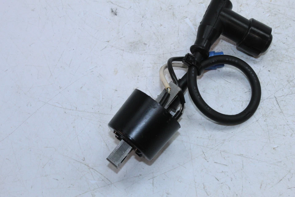 BOBINA DE ENCENDIDO 12-13 ARCTIC CAT PROCLIMB XF800 OEM 3007-548 Foto 4 de 4