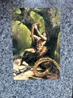 1994 Conan Keepsake Collection. MINT Very Rare!  Charity Auction — photo 6