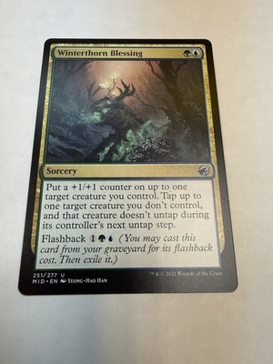 Winterthorn Blessing Foil (251) Innistrad: Midnight Hunt MID MTG Magic