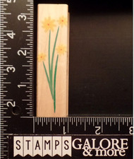 HERO ARTS RUBBER STAMPS E2749 STARBURST DAISY CLUSTER GARDEN FLOWERS 1179