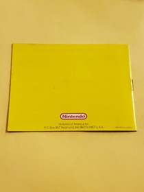 manuale dr mario nes
