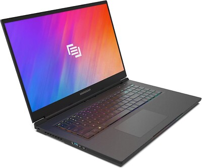 Maingear Vector Pro 17'' i7-11800H | 1400p/165Hz | 32GB | 1TB SSD | RTX 3070 8GB