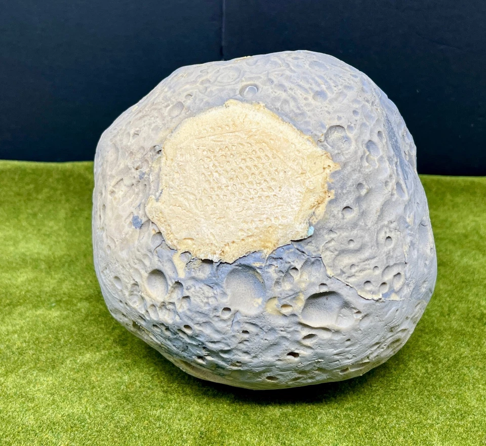 Battlefleet Gothic Epic литой местности лот A - 1 x Луна и 5 x астероиды смолы WH40K - Изображение 4 из 4