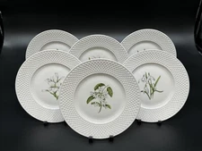 Set of (6) Spode VIRGINIA 9" Bone China Accent Luncheon Plates (F1773-T)