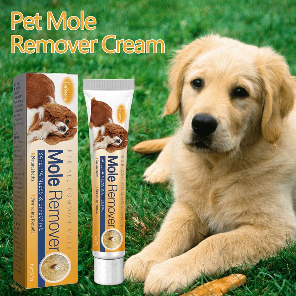 Golden Retriever Canine Warts Treatment Natural Pet Dog Wart