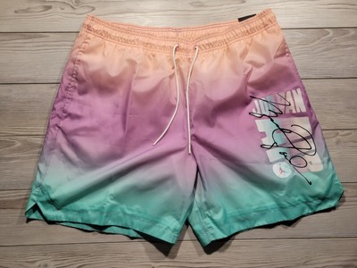 Nike Air Jordan DNA HBR Poolside Swim 