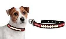 Florida State Seminoles Small Leather Lace Dog Collar NEW NCAA Pet Cat Lead CDG