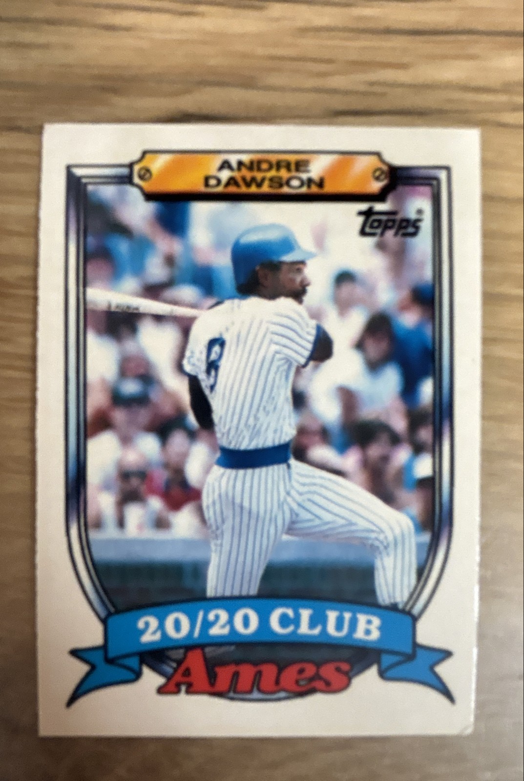 1989 Topps Ames 20/20 Club - Andre Dawson #13