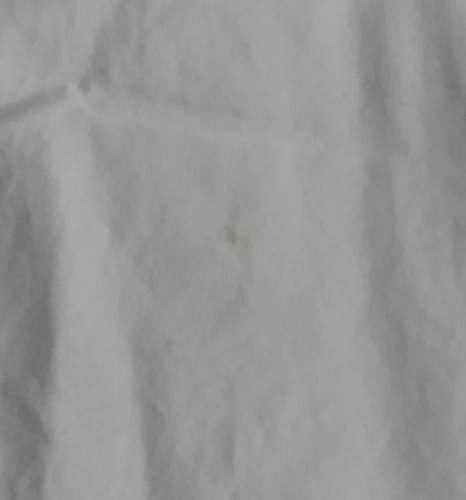 WOMENS BASIC EDITIONS WHITE SHORTS SIZE 6 COTTON FLAT FRONT POPLIN 32 waist - Picture 4 of 5