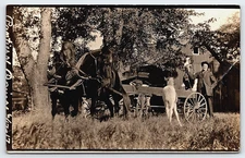 VINTAGE PICTURE POSTCARD REAL PHOTO OLD PHOTOGRAPH FARM HORSES WAGON MAN RPPC