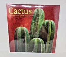 NEW! 2025 CACTUS Wall Calendar by Willow Creek Press 12x12