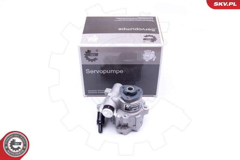 ✅Fits SKV GERMANY 10SKV172 POWER STEERING PUMP  ⭐UK Seller⭐
