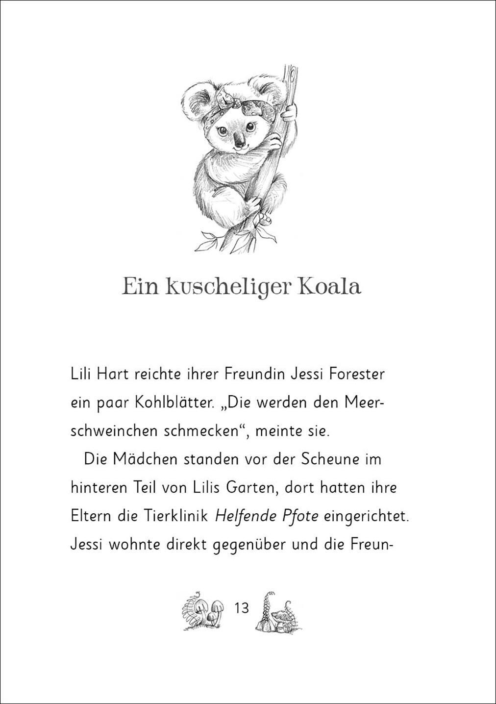 Thumbnail - Daisy Meadows / Die Magischen Tierfreunde (band 17) - Kiki Koala Und
