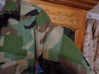 Picture 9 of 13