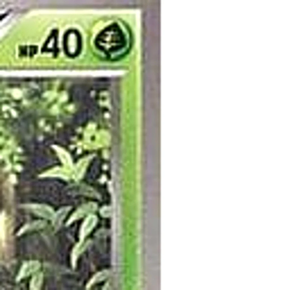 Pokemon Seedot C 002/052 BW3 Psycho Drive Japanese Card - Image 4 of 4